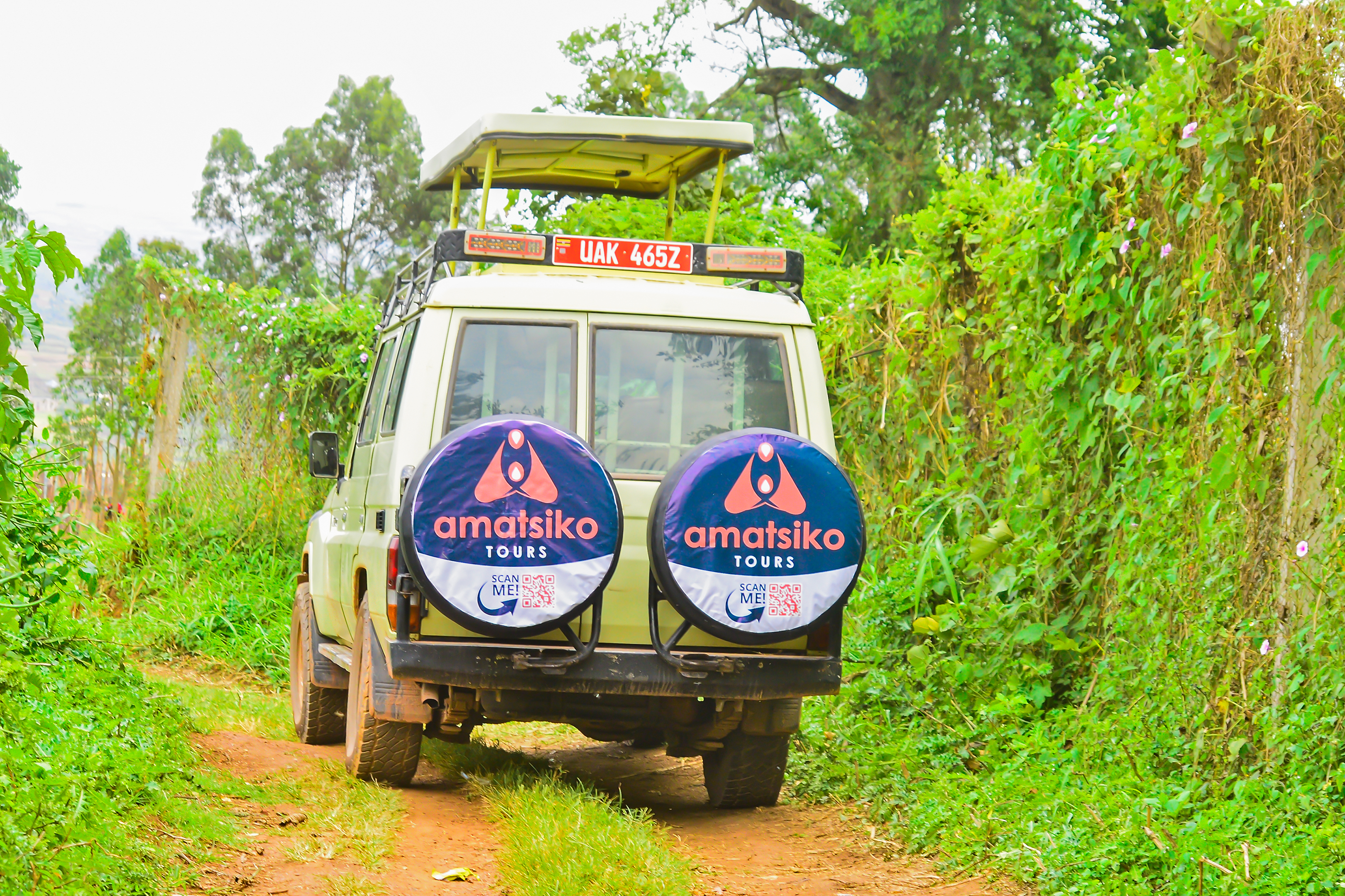 Amatsiko Tours safari vehicle driving on a red murram road in Uganda during the dry season, ideal for wildlife viewing and safari adventures