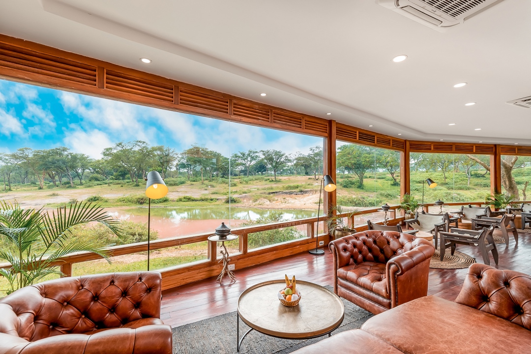 A luxury safari lodge terrace overlooks a forest edge in warm interior light.