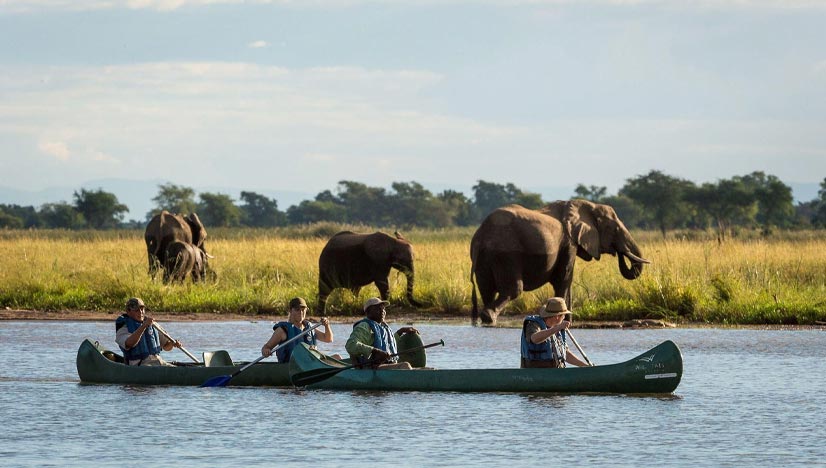 Image 8: Boat-&-Canoe-Safaris