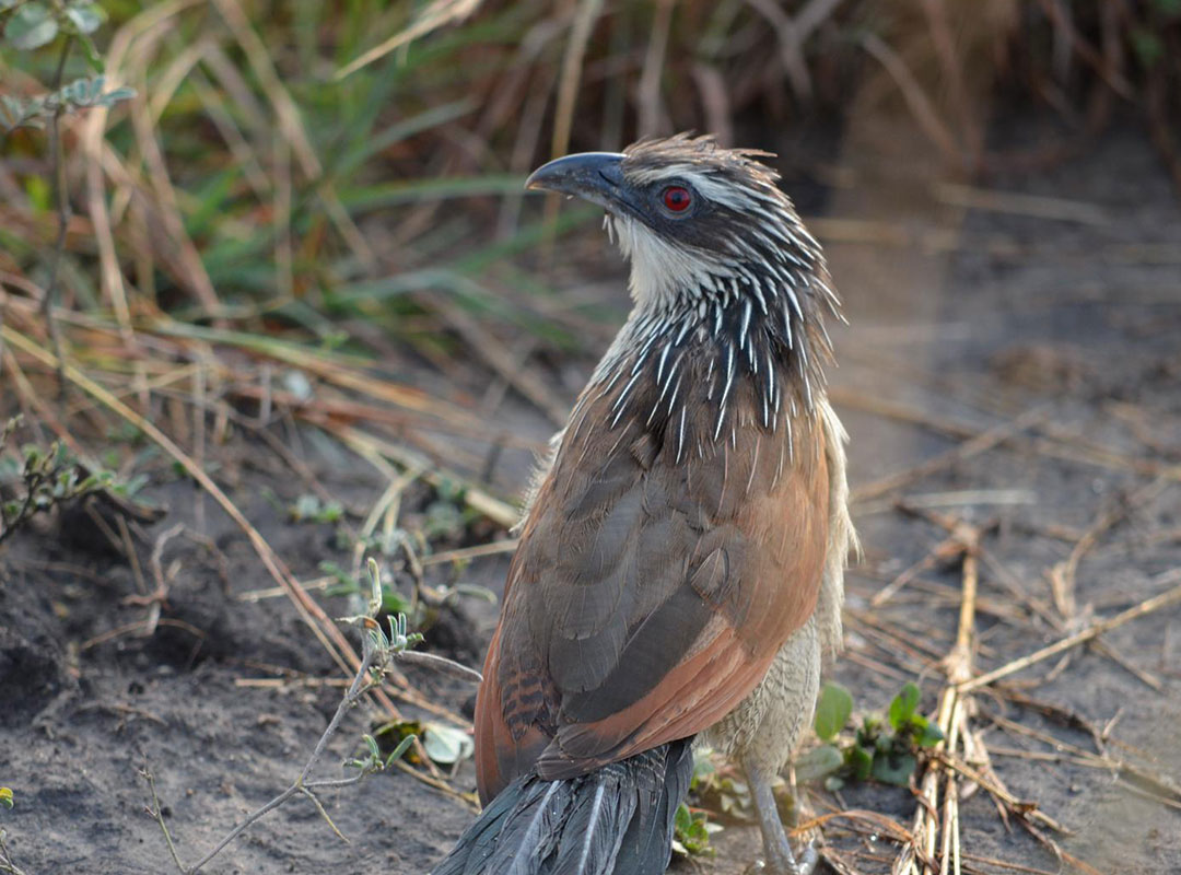 Tanzania Destination Gallery Four