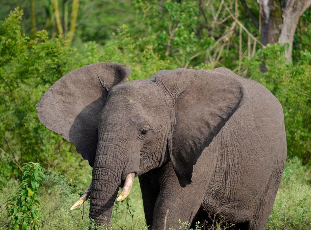 Tanzania Destination Gallery Three