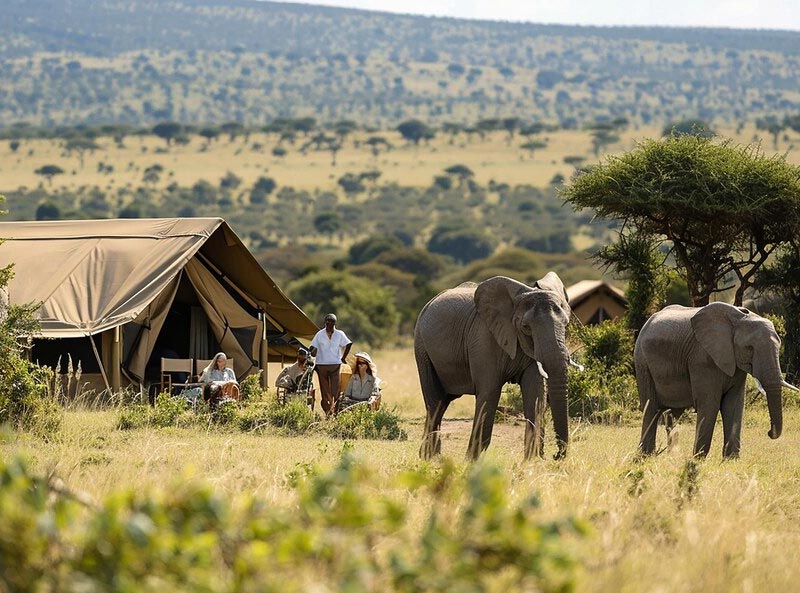 Image 1: elephant camping